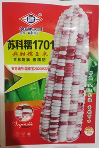 35g苏科糯1701